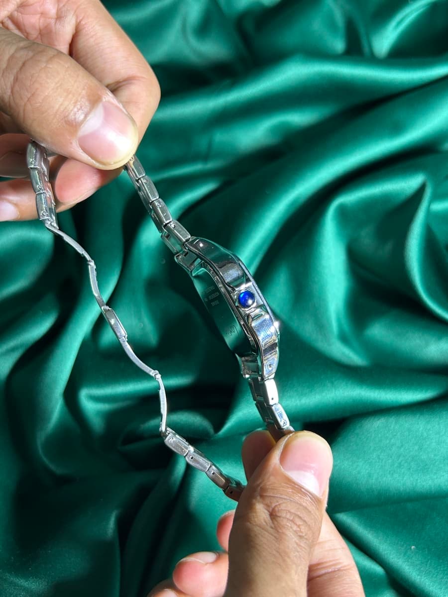 Cartier Santos Full Silver 5